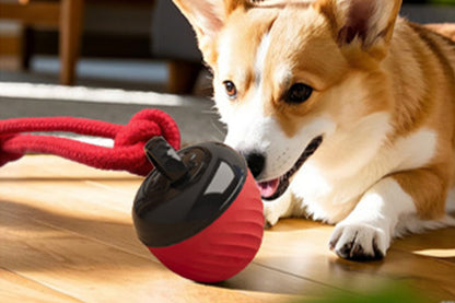 Squeaky Dog Toy Active Rolling Ball Interactive Dog Toys Motion Activated-Red