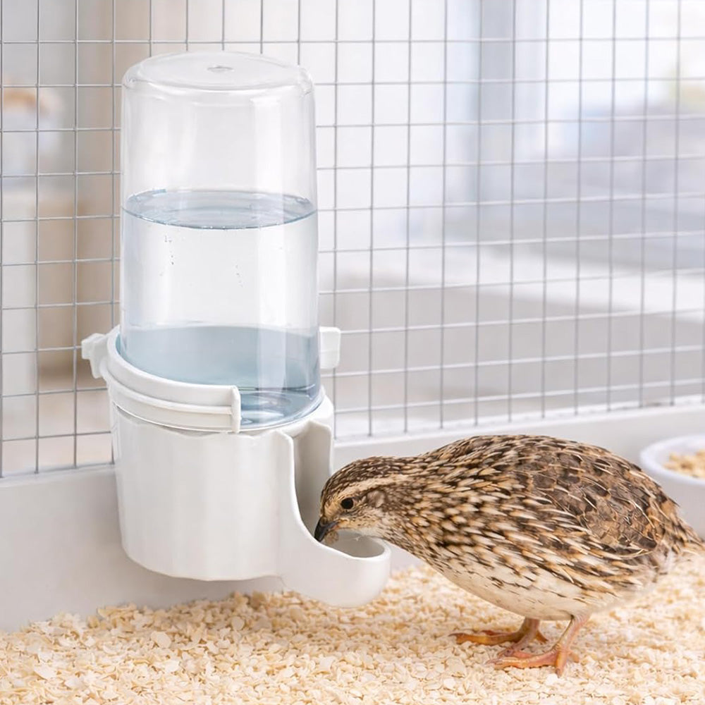 Bird Waterer Automatic Gravity Drinking Fountain with Anti Drowning Tray-White