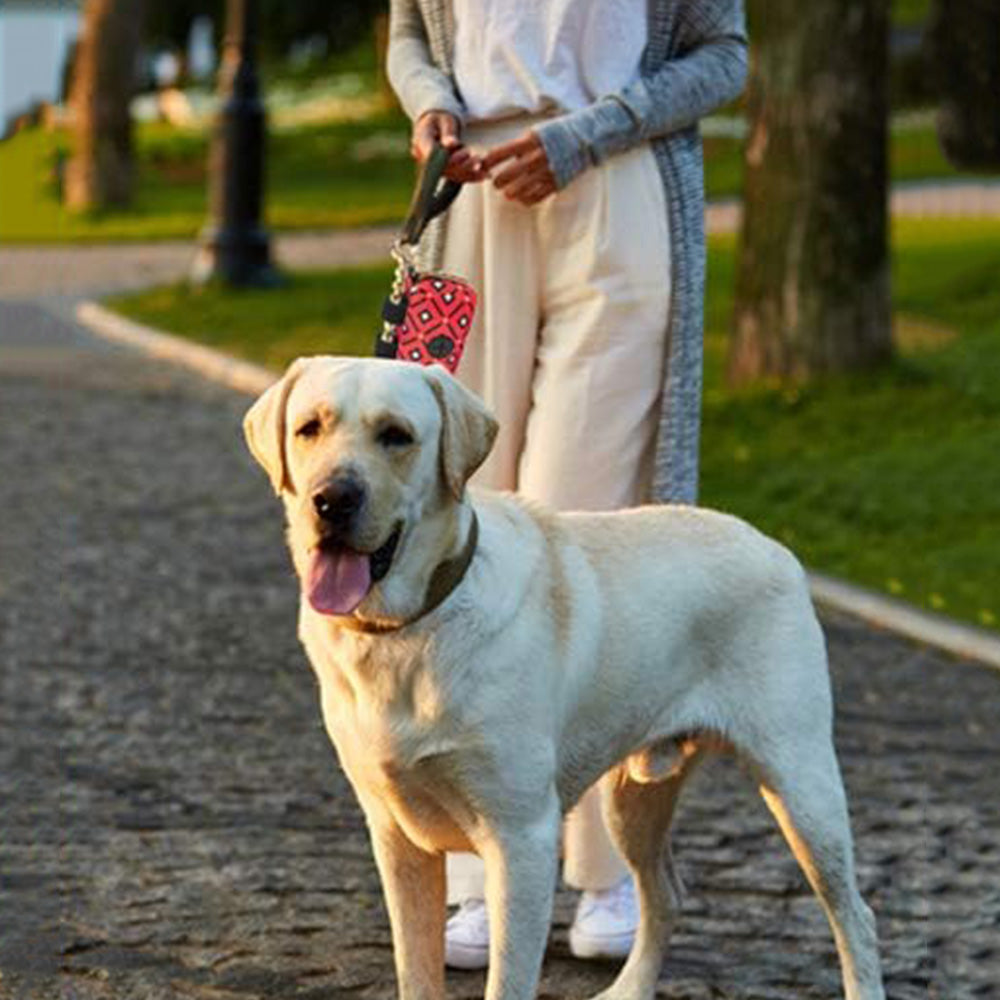 Pet Dog Poop Bag Holder Poo Waste Bags Container for Leash Red