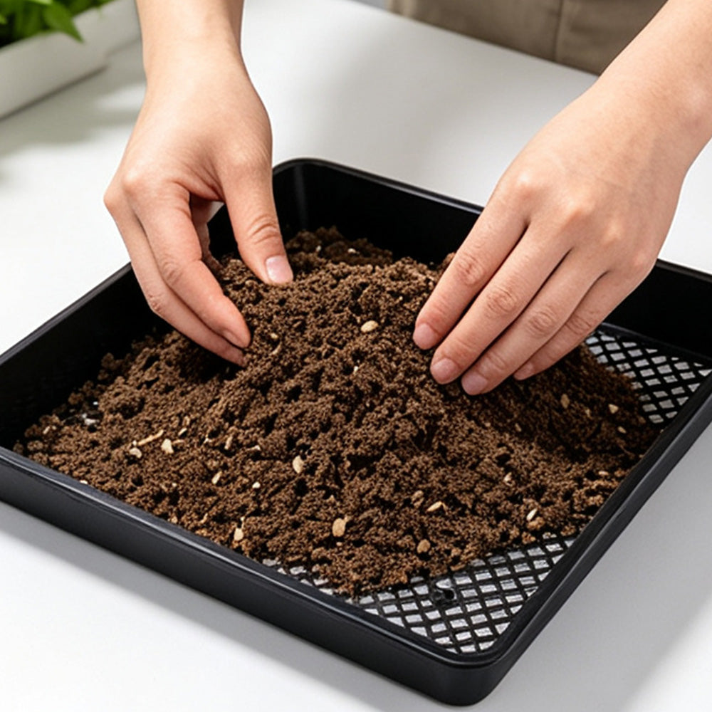 10 Piece 40cm Square Fine Hole Seedling Trays for Propagation