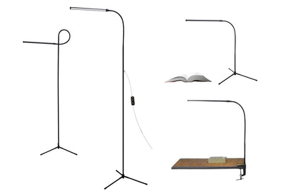 Modern LED Floor Lamp Standing Lamp Gooseneck Dimmable Modern Standing Light