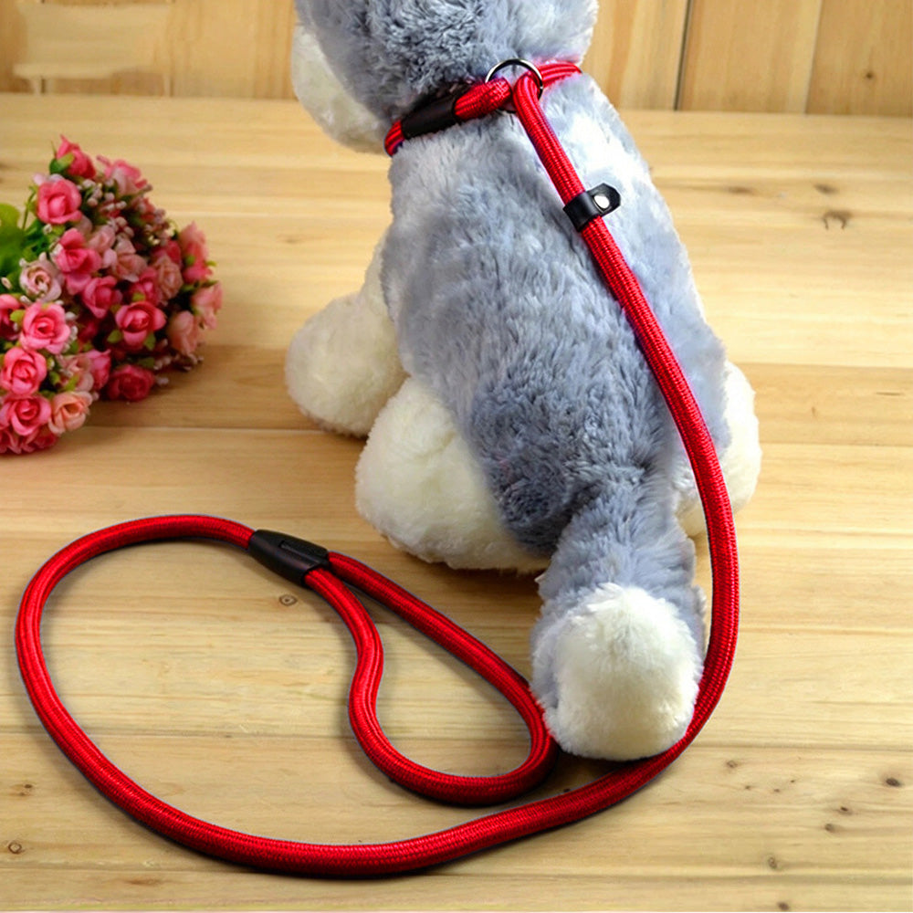 2 Pack 1.4M Pet Training Leash Slip Lead Pets Nylon Rope - Red