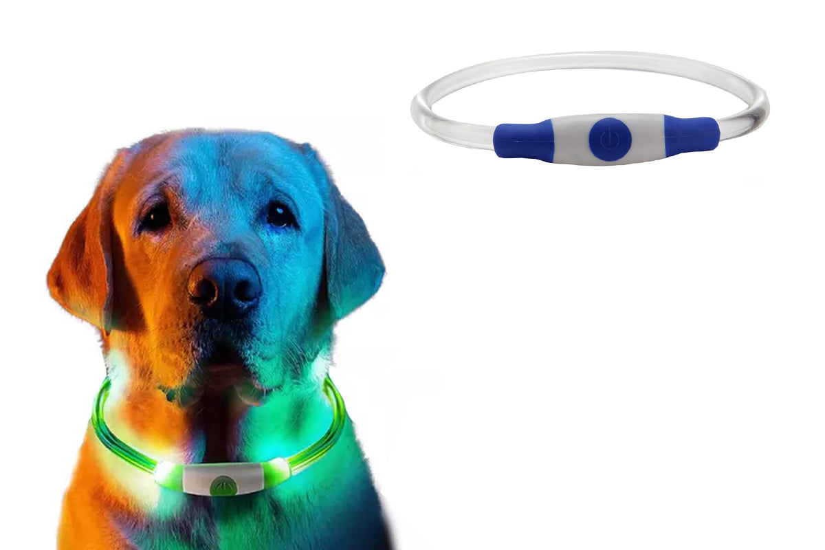 LED Light Up Pet Dog Collars USB Rechargeable Pet Collar Adjustable Size Pet Collar-Blue