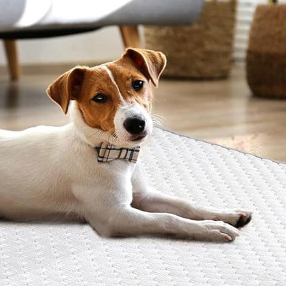 Pet Cooling Mat Dog Cat Breathable Summer Cooling Pad Light Grey