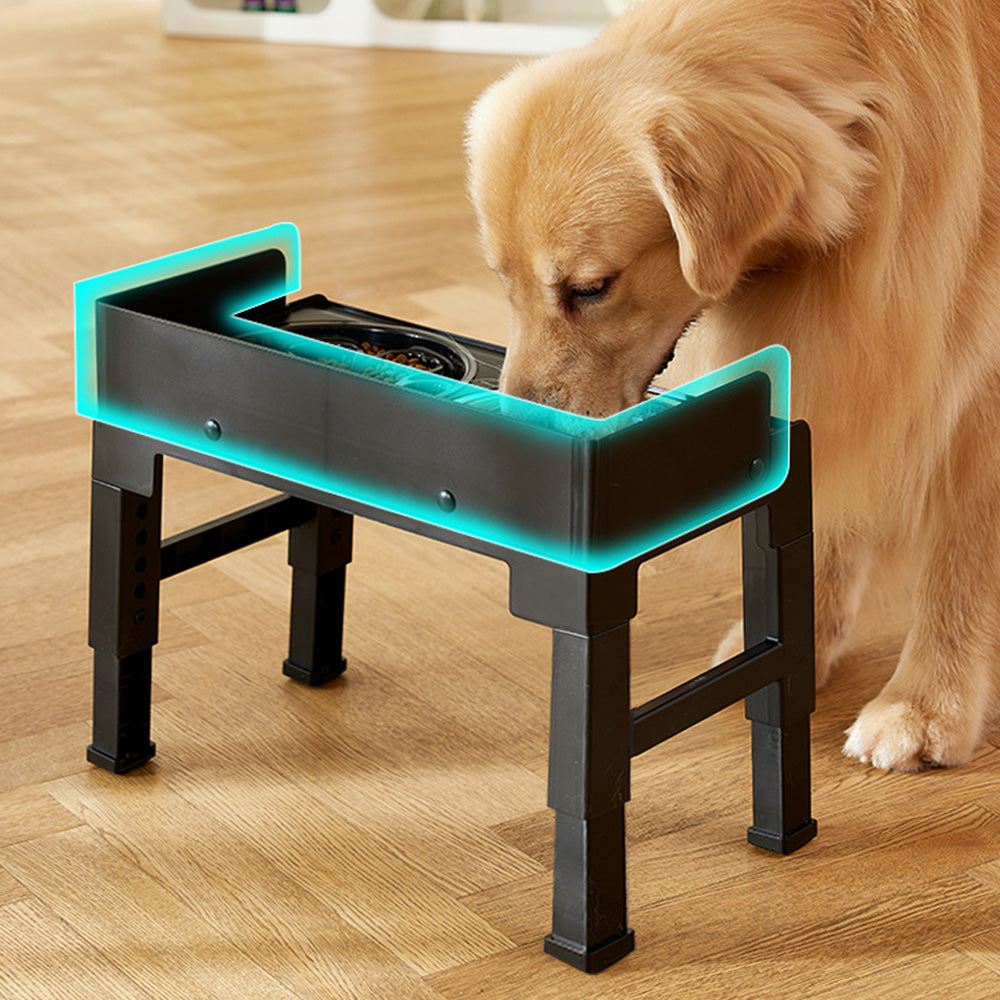 5-Level Height Adjustable Raised Bowl for Pet Dogs Elevated Dog Bowls Black
