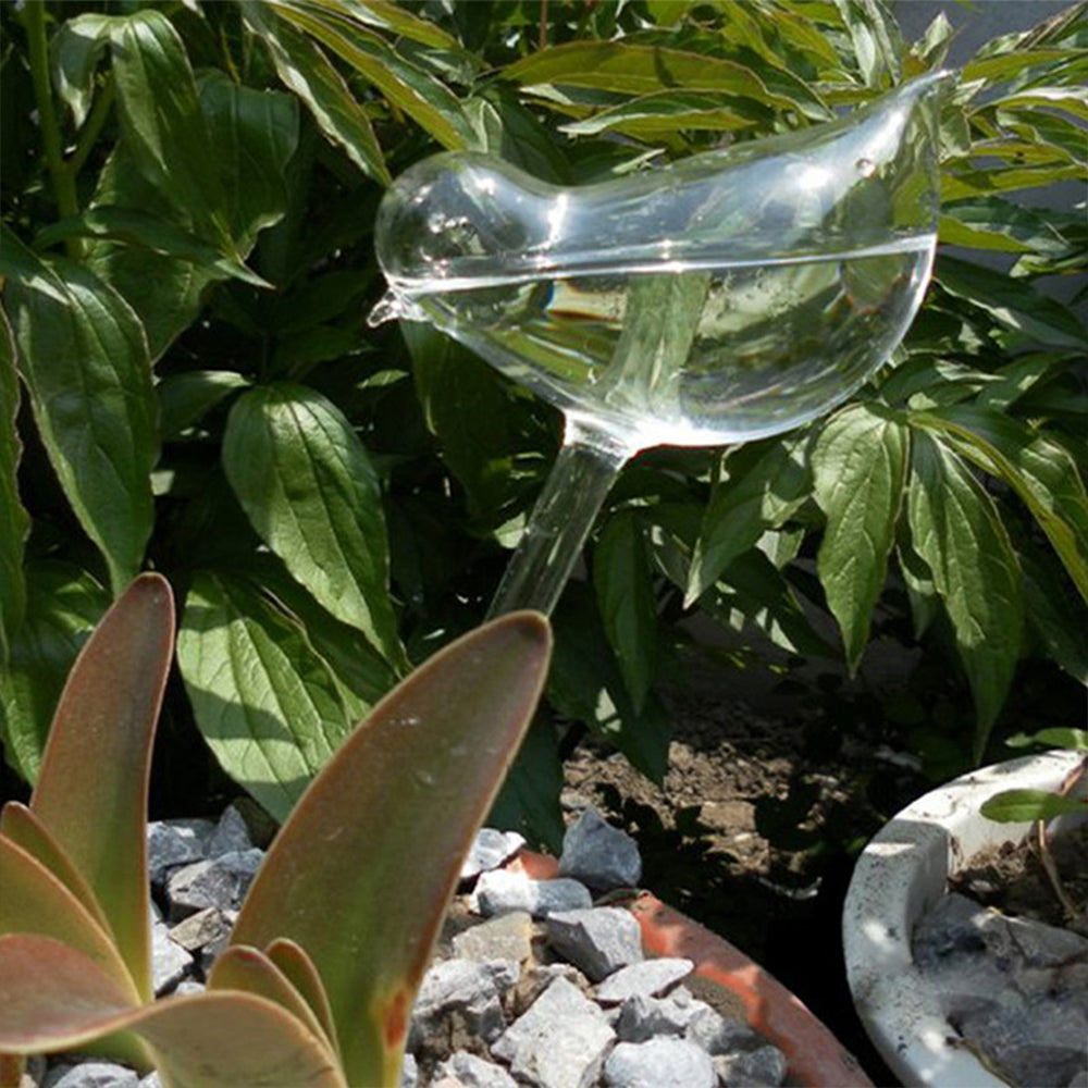Star Shaped Self Watering Plant Spike Automatic Watering Stake for Succulents ST2