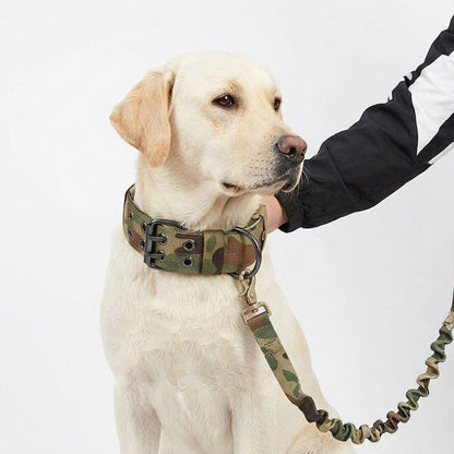 Adjustable Padded Nylon Dog Collar and Leash Set for Large Dogs - Green