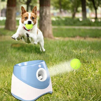 Automatic Dog Tennis Ball Launcher with 3 Balls - Blue