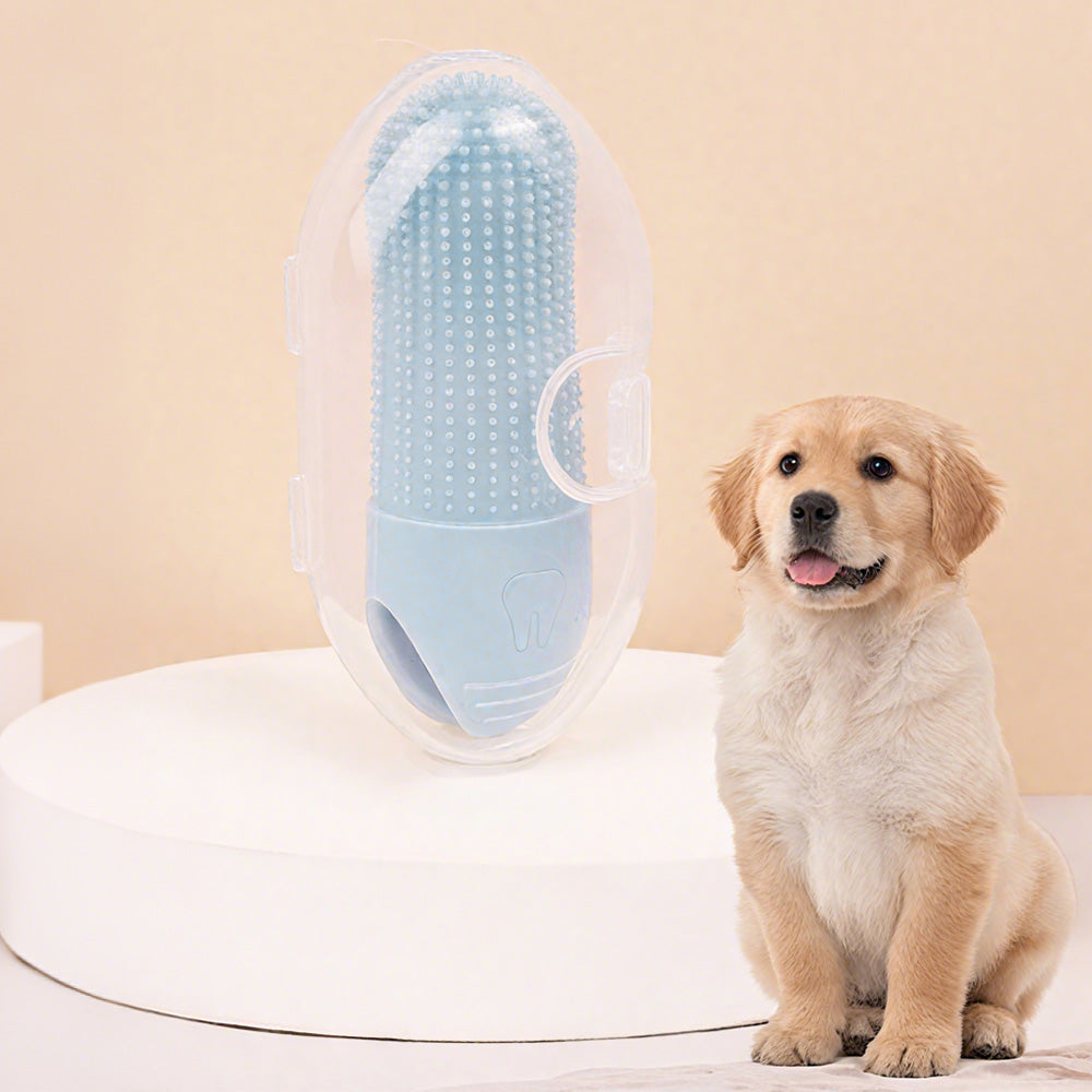 Silicone Pet Finger Toothbrush ¨C Daily Teeth Cleaning for Cats and Dogs Blue