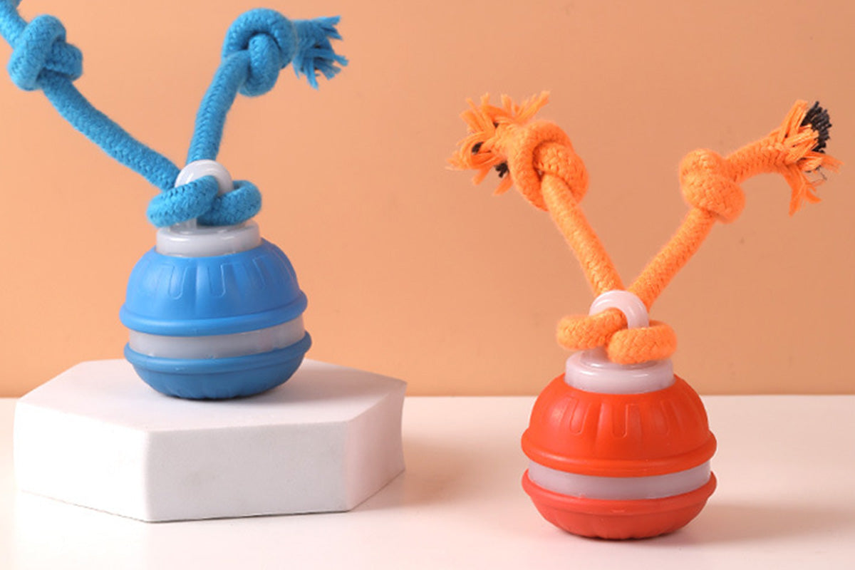 2Pcs USB Rechargeable Rolling Dog Ball Toy Blue and Orange