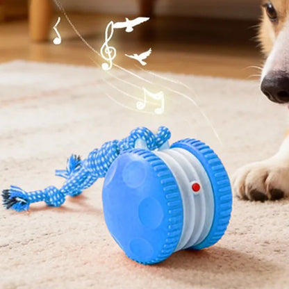 Interactive Pet Rolling Ball Toy Rechargeable Automatic Play Ball for Cats and Dogs-Blue