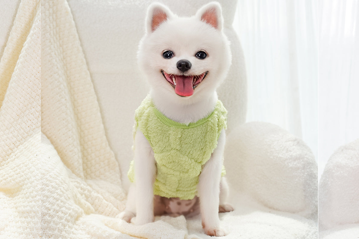 Sherpa Fleece Dog Jumper Sweater with D-Ring for Small Dogs Chihuahua Yorkshire -Green