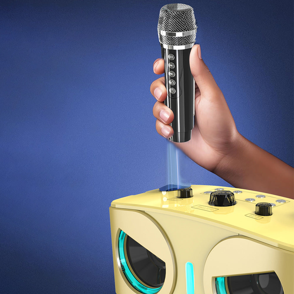 Wireless Bluetooth Karaoke Speaker with 2 Microphone Home KTV Set Gold