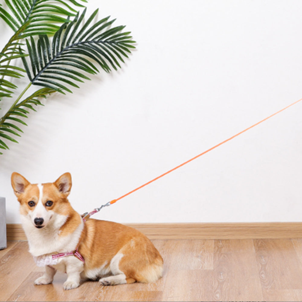 5M RGB Light Pet Leads Retractable Traction Rope Pet Cat Dog Leash Orange
