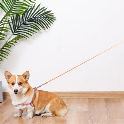 5M RGB Light Pet Leads Retractable Traction Rope Pet Cat Dog Leash Orange