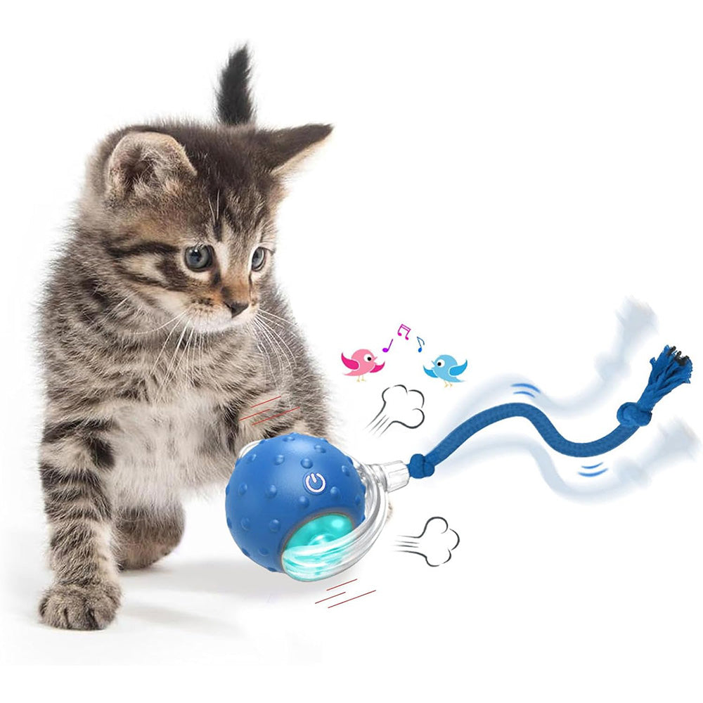 Motion Activate Interactive Cat Toy Rechargeable Smart Rolling Ball with Rope Blue