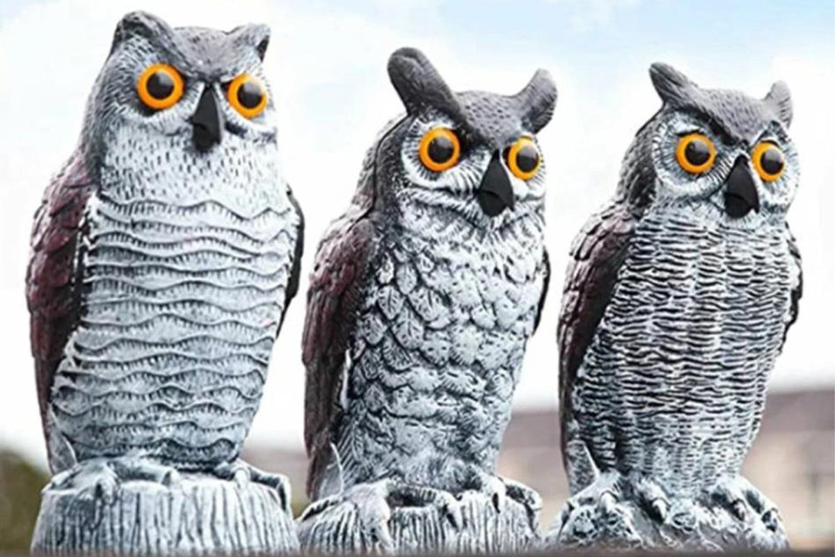Large Fake Owl Decoy to Scare Birds Away Garden Bird Deterrents for Outside -Red