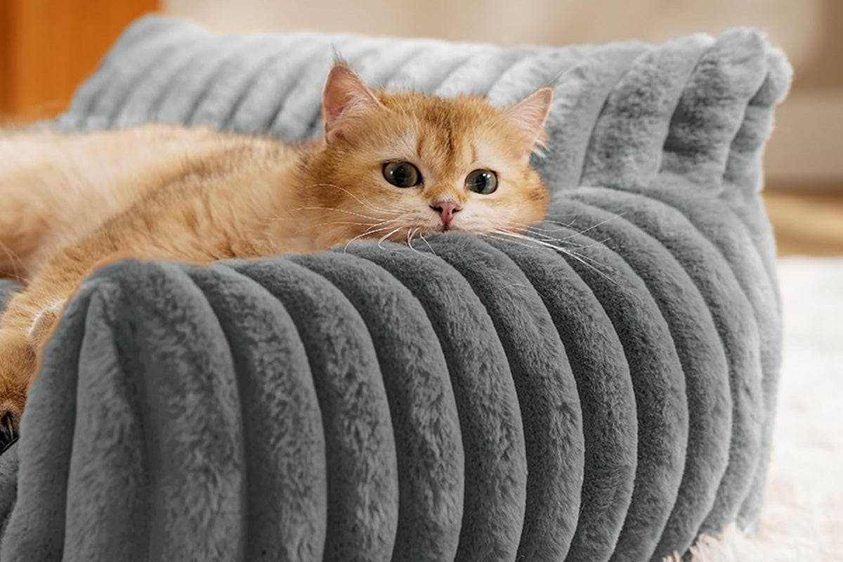 Cat Couch Bed Fluffy Pet Sofa with Removable Washable Cover Non-Slip Bottom -Dark Grey
