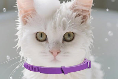 4Pcs Calming Collar for Dogs Dog Pheromone Calm Collars Relief Anxiety-Purple