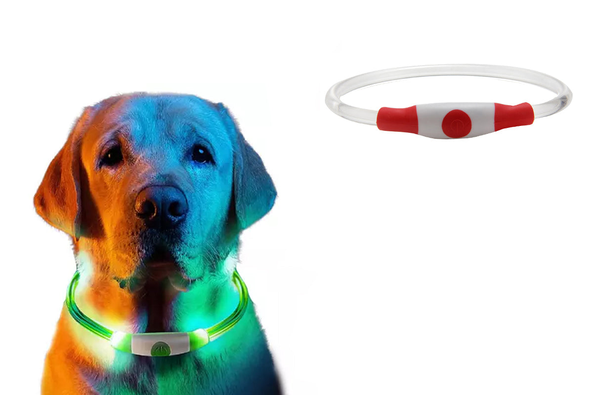 LED Light Up Pet Dog Collars USB Rechargeable Pet Collar Adjustable Size Pet Collar-Red