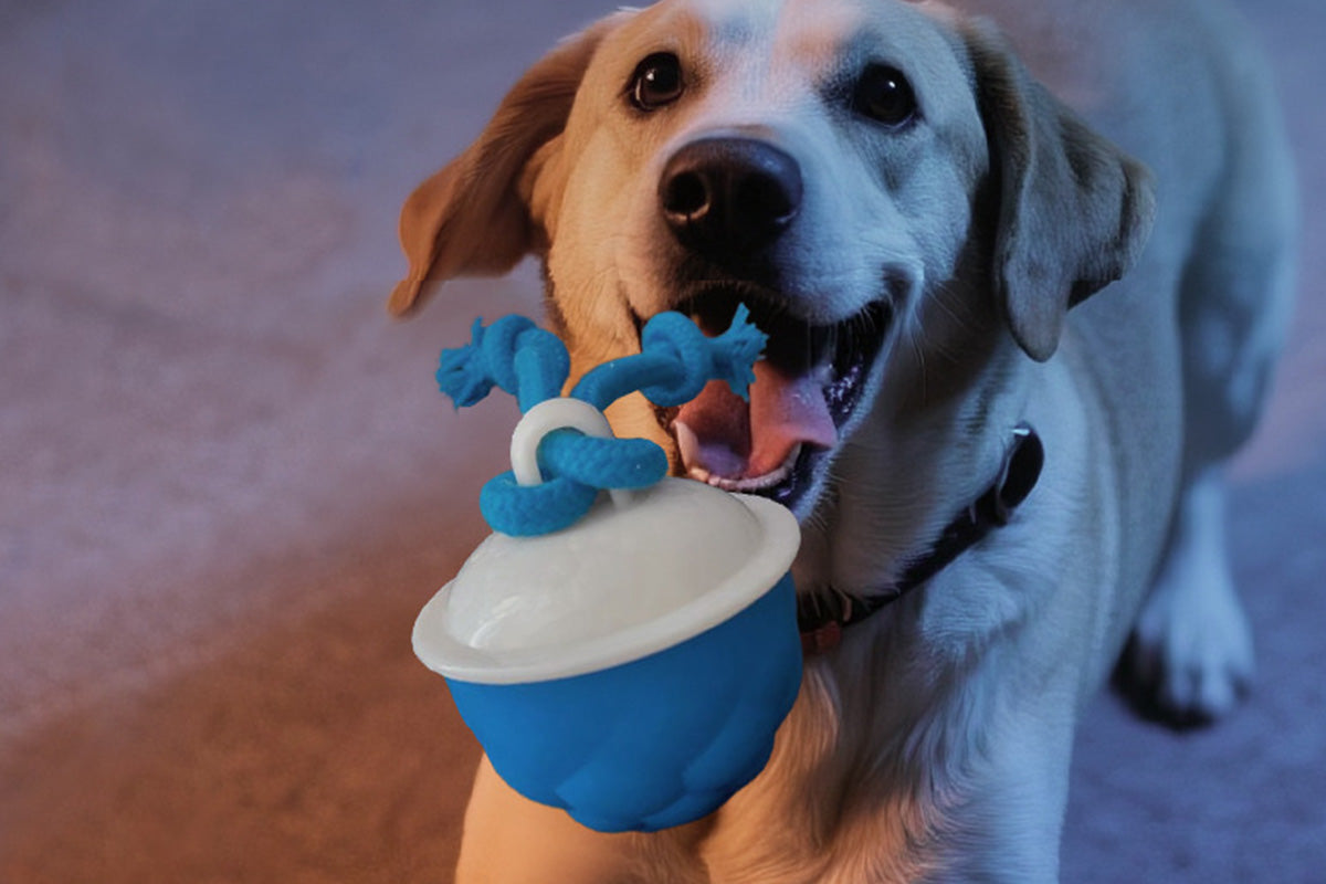 Interactive Dog Toys Touch Activated Bouncing And Jumping Dog Ball -Blue