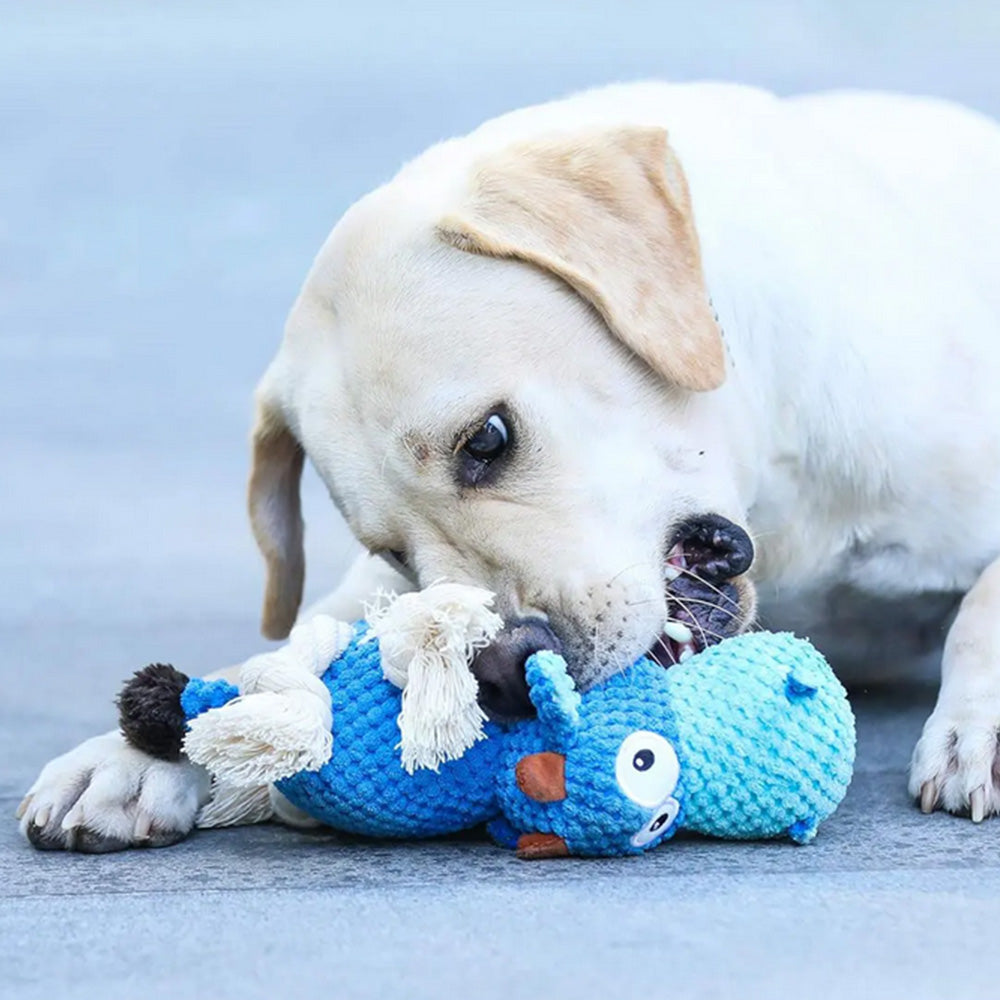 Dog Toys for Aggressive Chewers ââ‚?Squeaky Toys to Keep Dogs Busy Style 3