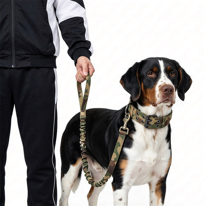 Adjustable Padded Nylon Dog Collar and Leash Set for Large Dogs - Green