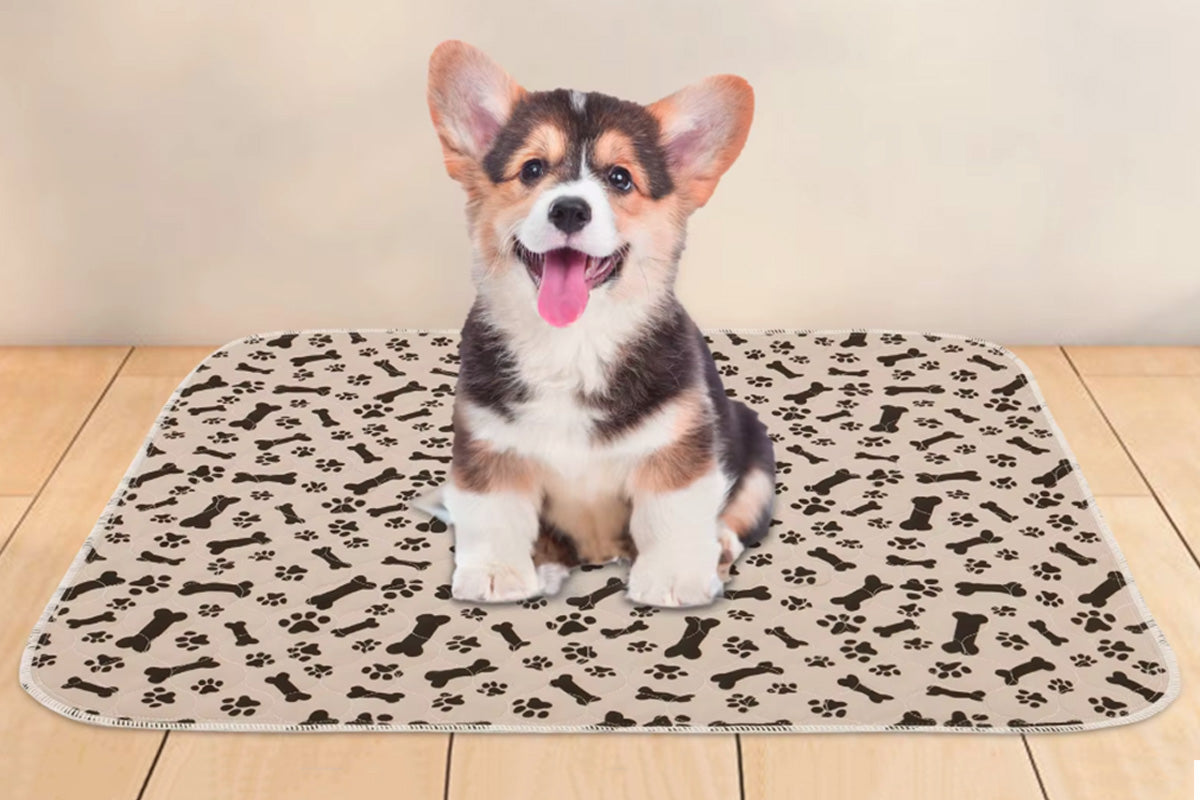 Washable Waterproof Reusable Dog Pee Pads Quick Absorbent Puppy Training Mat-Brown