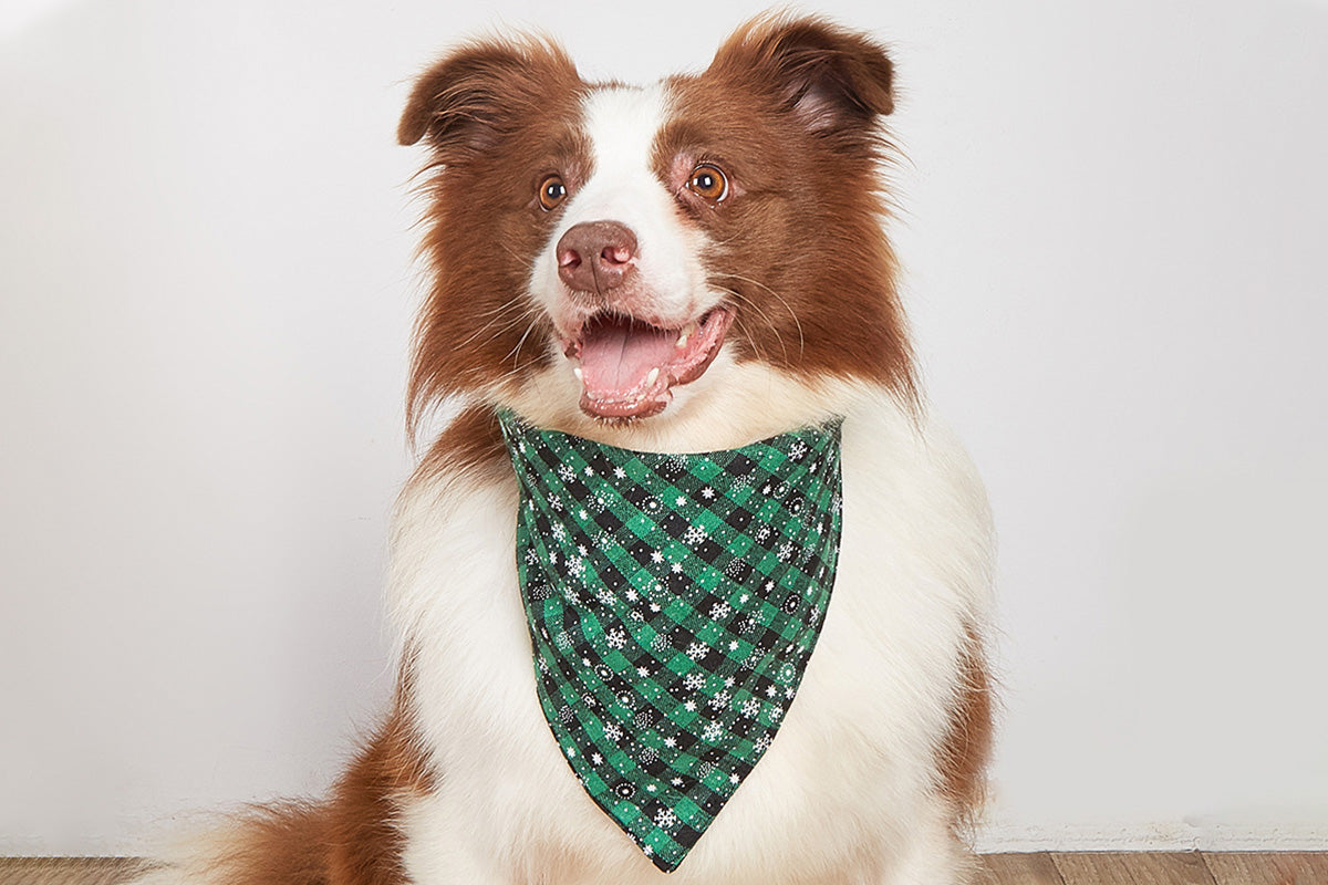 2Pcs Snowflakes Christmas Dog Bandana Buffalo Plaid Pet Scarf Dog Triangle Bandana-Green check snowflake and Red check snowflake