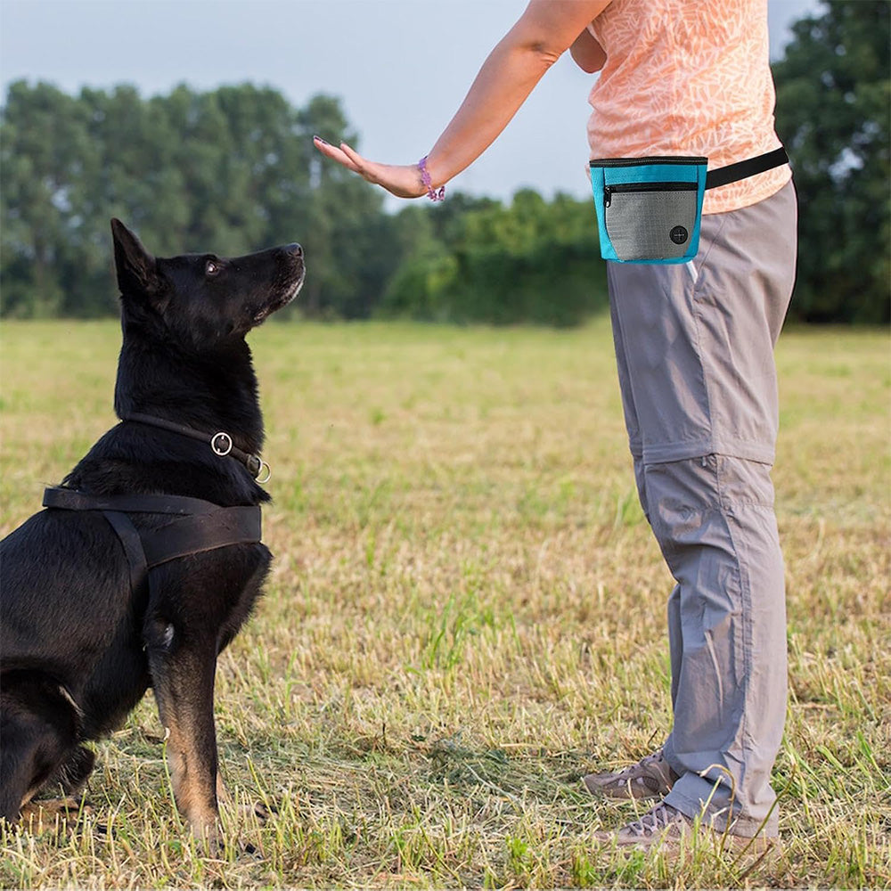 Hands-Free Dog Treat Pouch with Auto-Snap Closure Pet Snack Bag for Training Walking Blue
