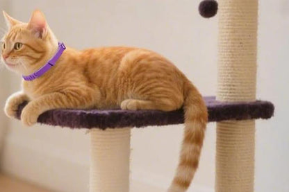 4Pcs Calming Collar for Dogs Dog Pheromone Calm Collars Relief Anxiety-Purple