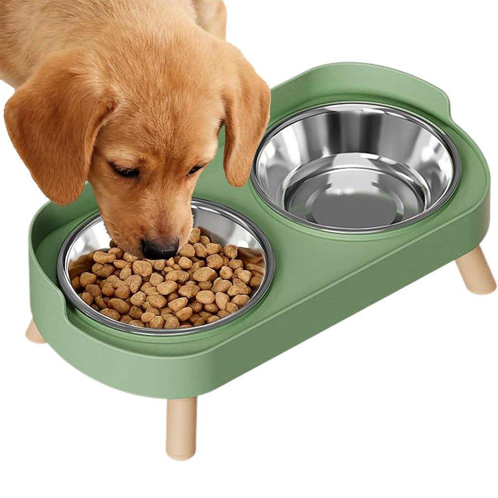 Elevated Double Stainless Steel Pet Food and Water Bowl Set-Green