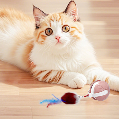 Electric Automatic Moving Rolling Dog Toy Interactive Dog Ball Toy Pink