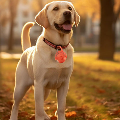 4-Mode Dog Collar Light for Night Walking Rechargeable Pet Collar LED Light Orange