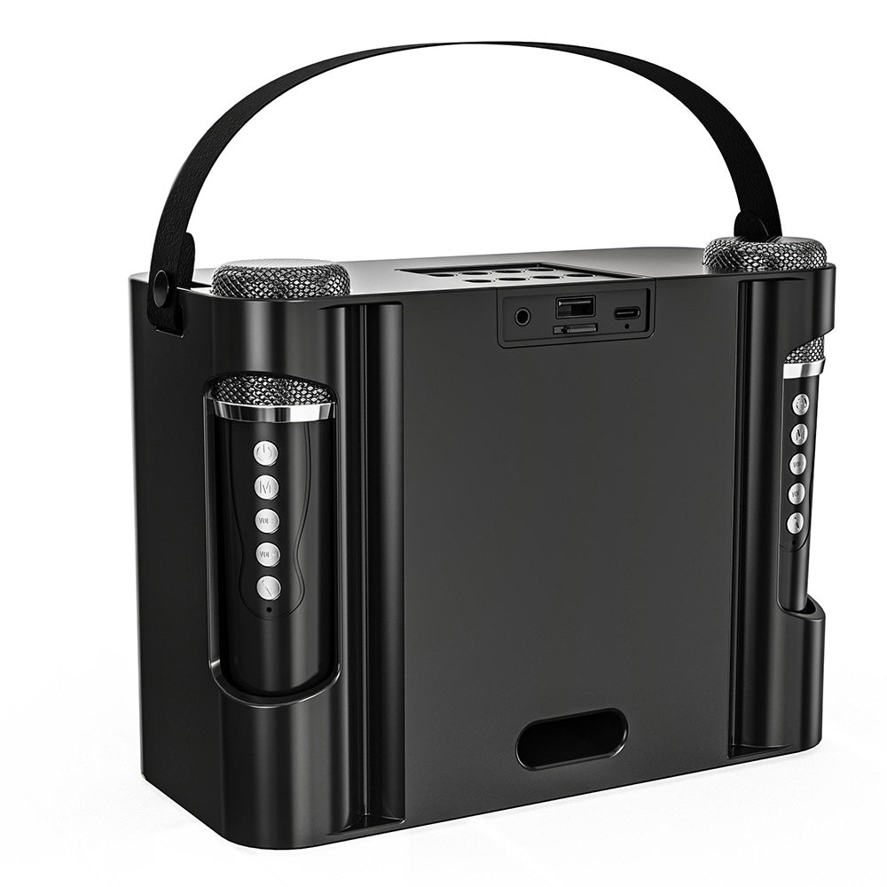 Portable Bluetooth 5.3 Speaker with 2 Wireless Microphones Home Karaoke Speaker Machine Black