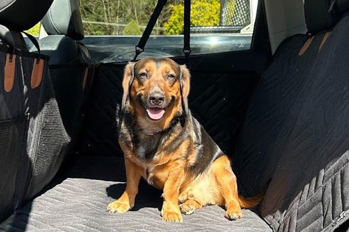 132x158CM Back Seat Extender for Dogs