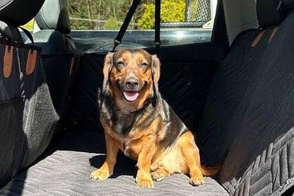 132x158CM Back Seat Extender for Dogs