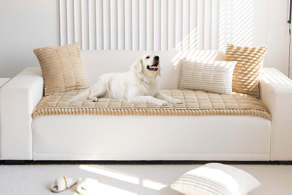 Washable Couch Cover for Dogs Pet - Khaki