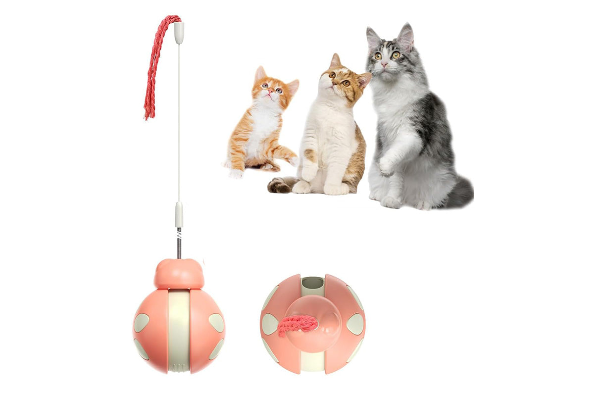 Interactive Cat Toys Tumbler Ladybug with Teaser Wand Cat Treat Dispenser Toy -Pink