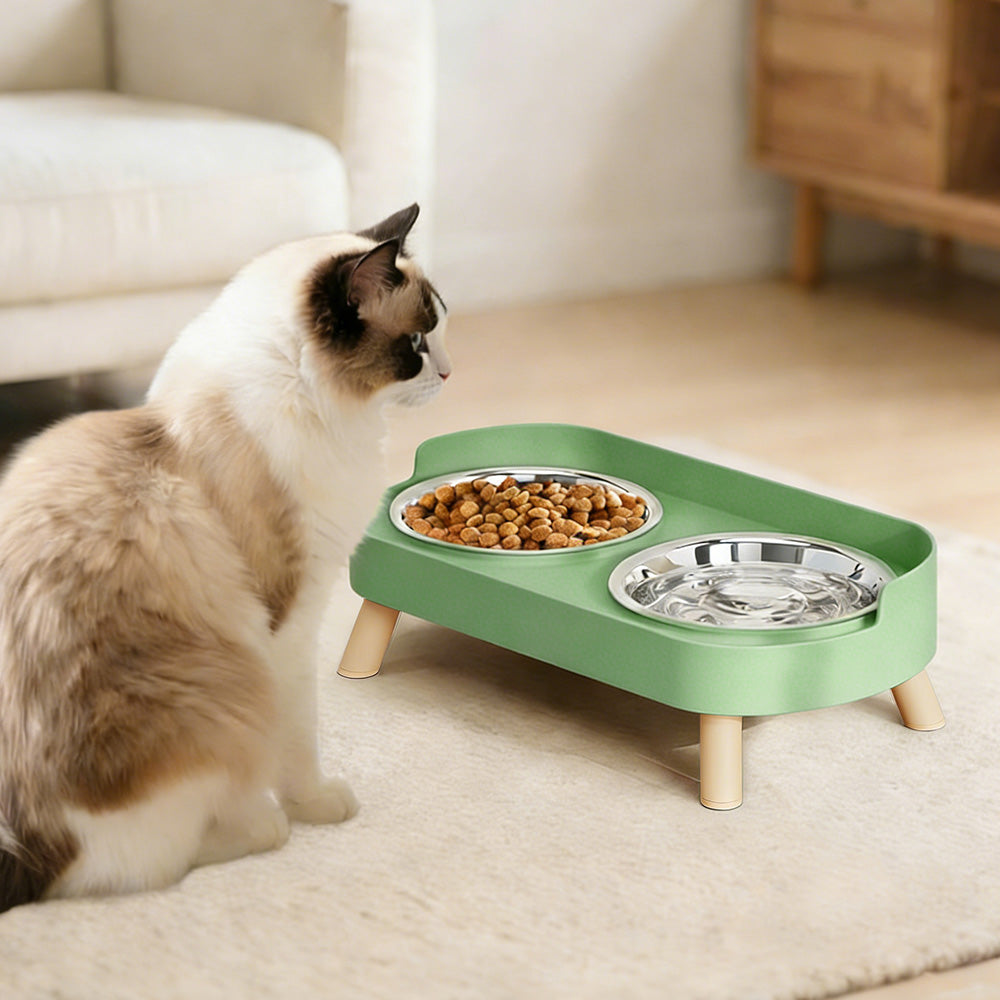 Elevated Double Stainless Steel Pet Food and Water Bowl Set-Green