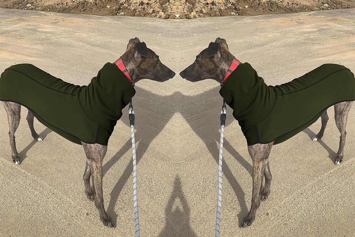 Dog Jumper Fleece Vest Sweater Stretch Sweatshirt - Green