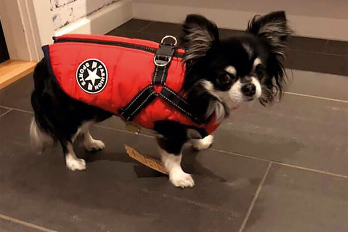 Dog Coat With Harness Winter Waterproof Reflective Warm Dog Coat-Red
