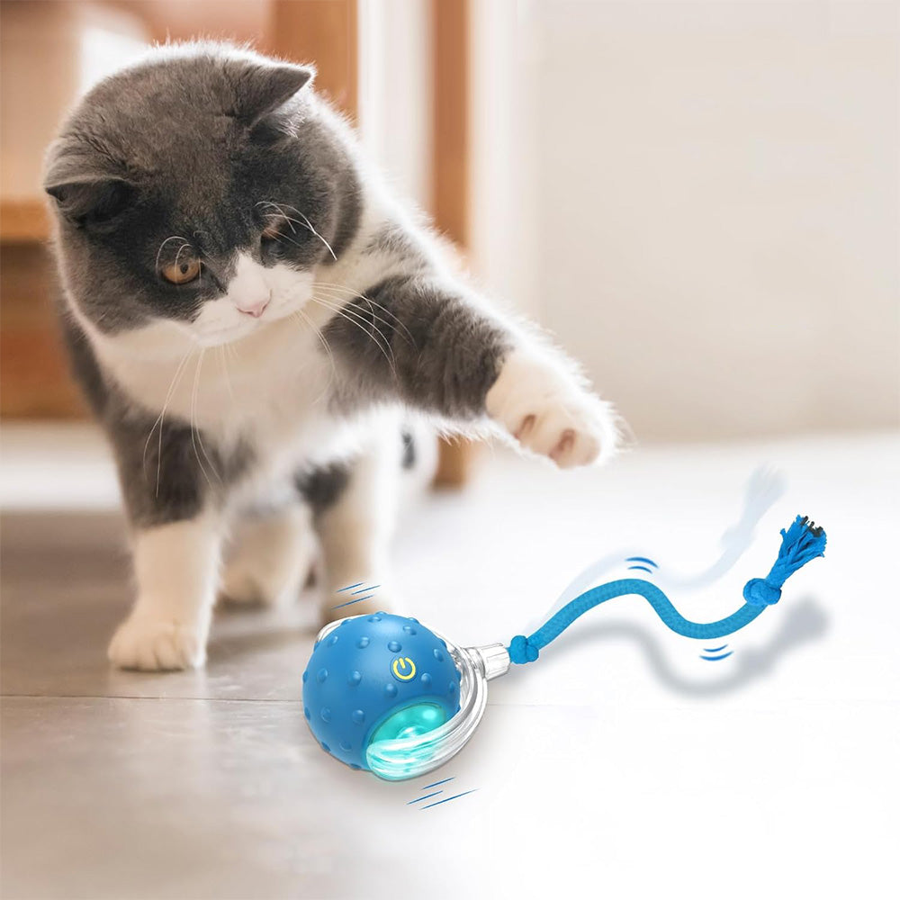 Motion Activate Interactive Cat Toy Rechargeable Smart Rolling Ball with Rope Blue