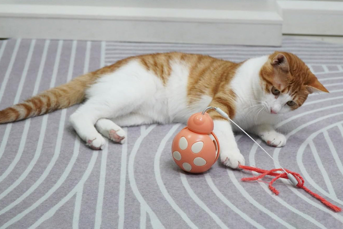 Interactive Cat Toys Tumbler Ladybug with Teaser Wand Cat Treat Dispenser Toy -Pink