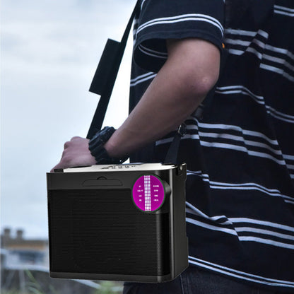 Portable Bluetooth 5.3 Speaker with 2 Wireless Microphones Home Karaoke Speaker Machine Black