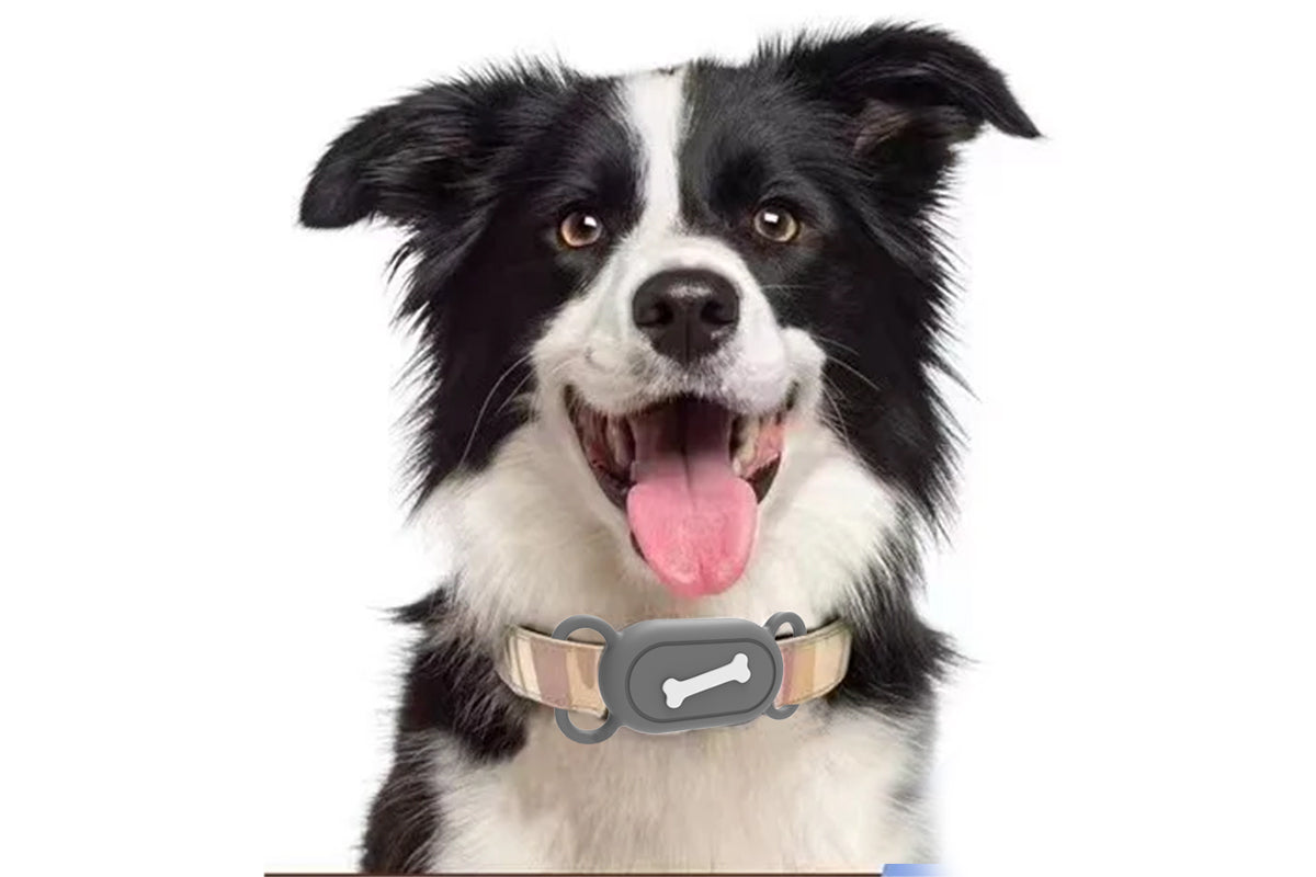 Silicone Pet Collar Case for Samsung Galaxy SmartTag 2 - Bone