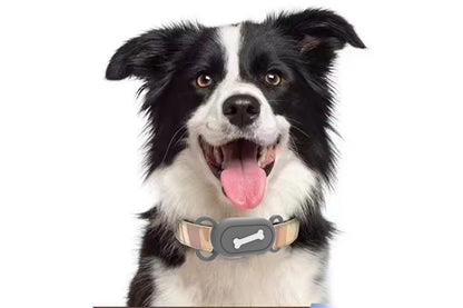 Silicone Pet Collar Case for Samsung Galaxy SmartTag 2 - Bone