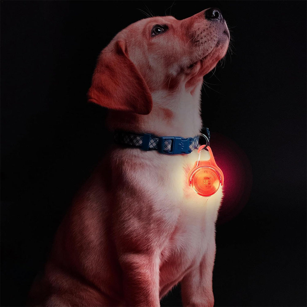 4-Mode Dog Collar Light for Night Walking Rechargeable Pet Collar LED Light Orange