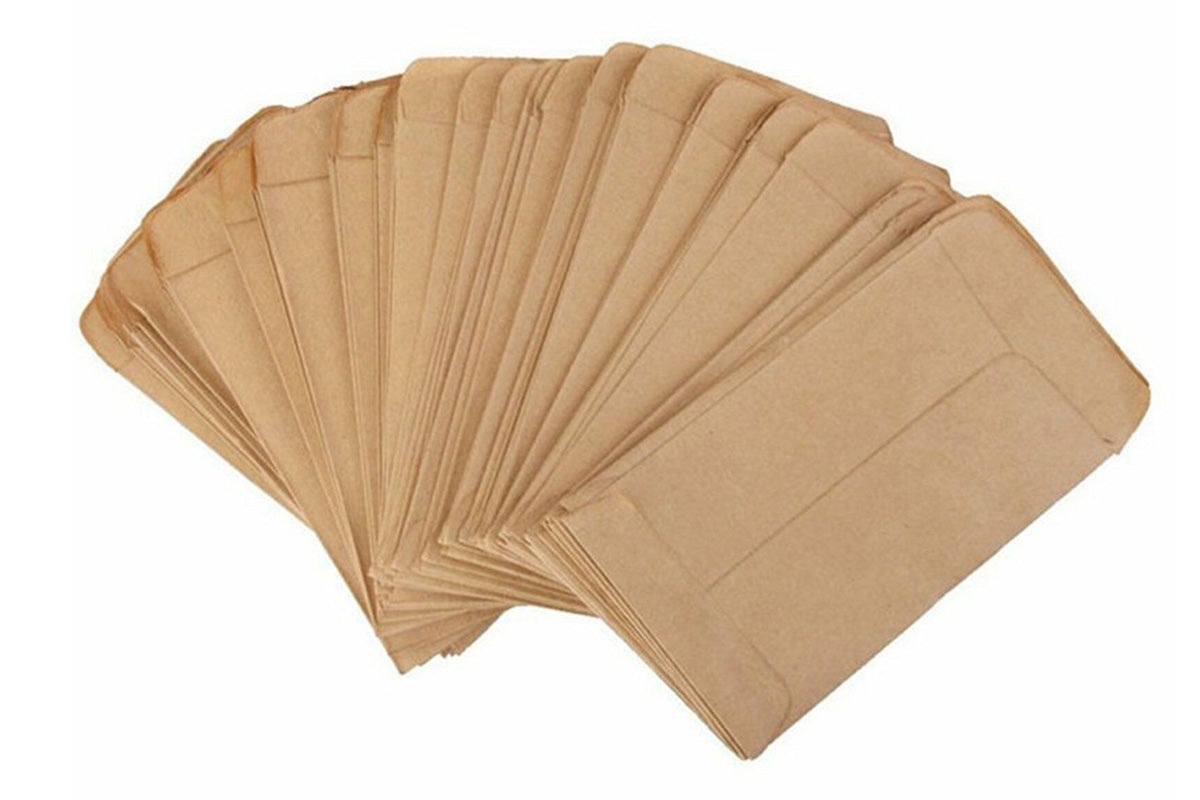 100 Piece Small Kraft Paper Coin and Seed Envelopes