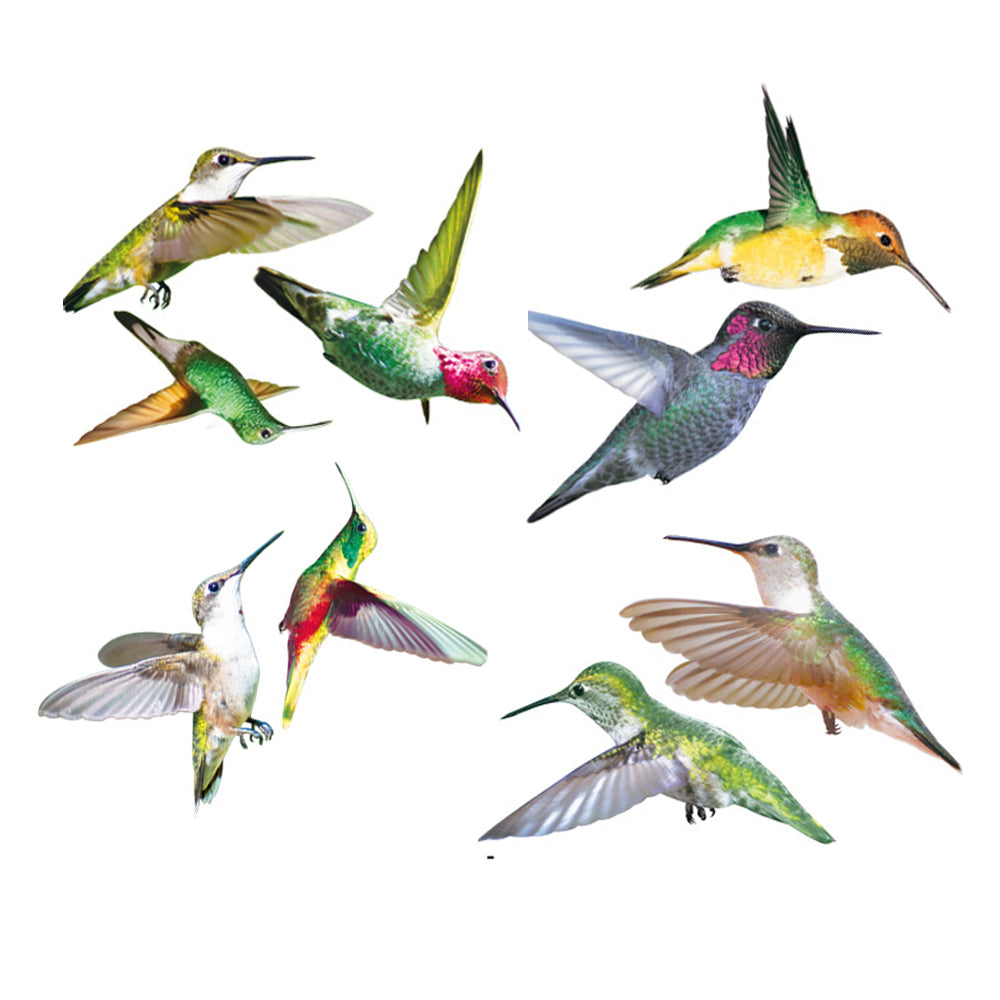 9 Hummingbird Wall Stickers Anti-Collision Window Clings Decals